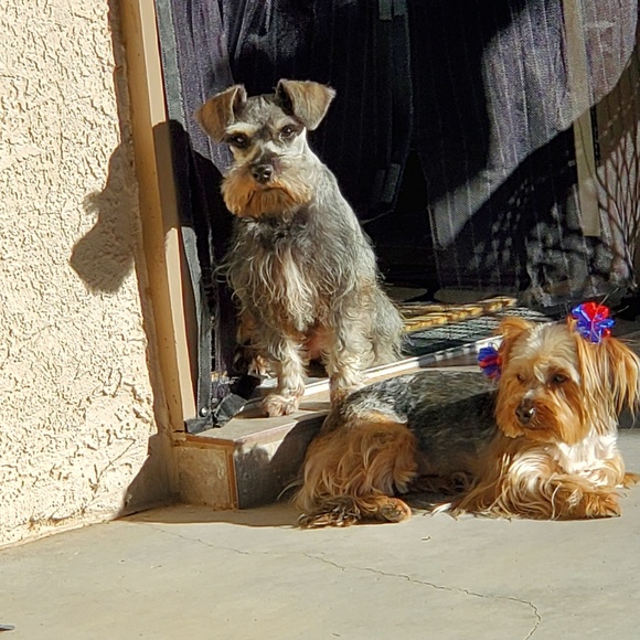 Meet your Posher, Eduardo - Picture 1 of 1